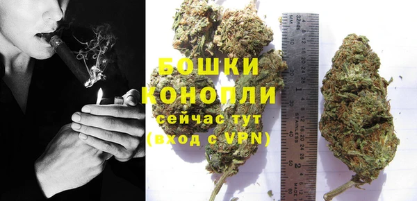 jwh Пересвет