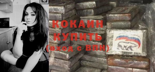 сатива Переславль-Залесский