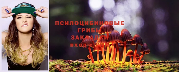 сатива Переславль-Залесский