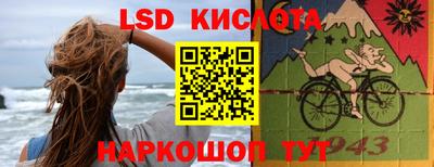 индика Кандалакша