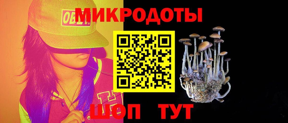 Псилоцибиновые грибы прущие грибы Уварово